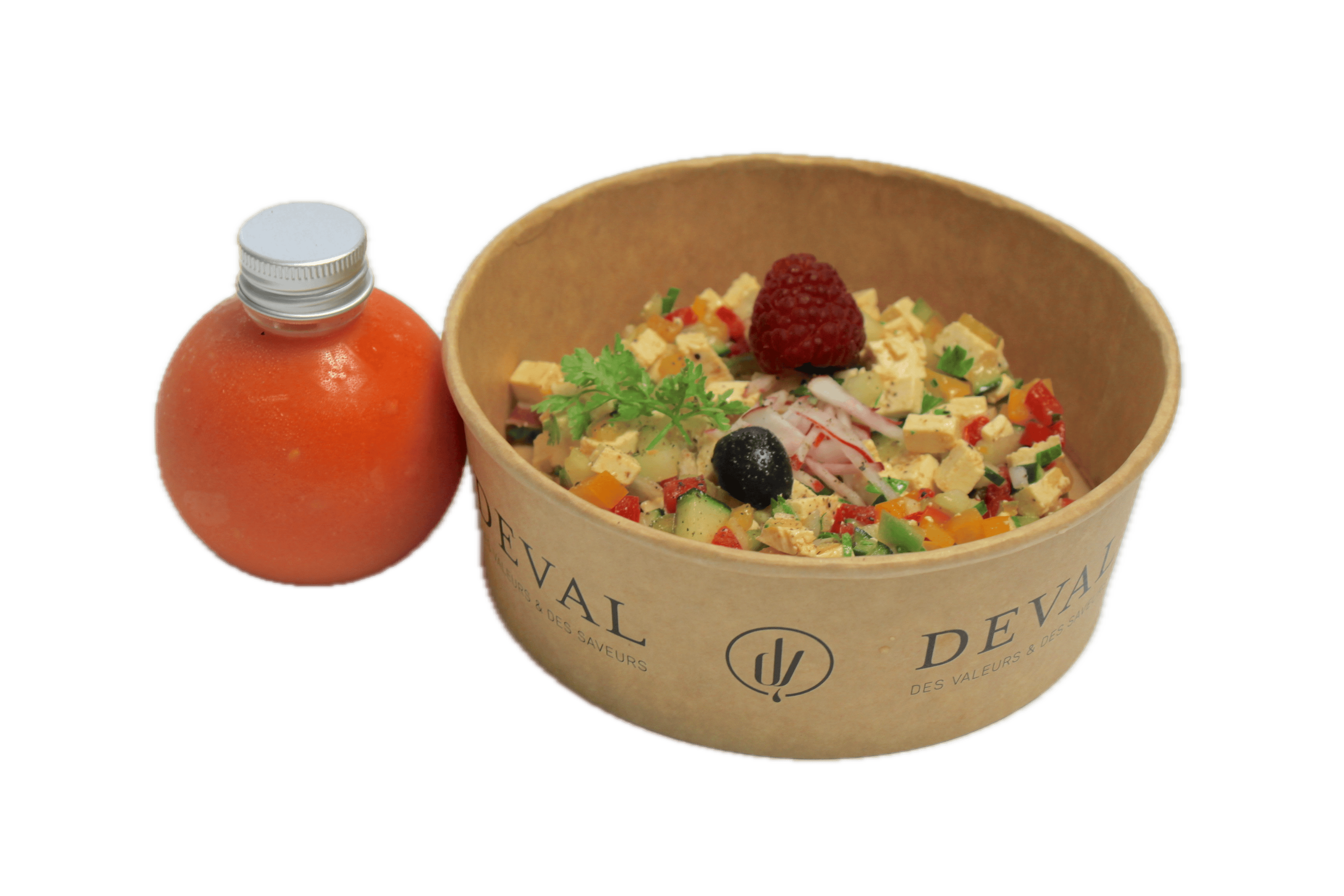 Gaspacho De Tomate Brunoise De Concombre Poivrons Tofu Avec Arrie Re Plan Supprime 